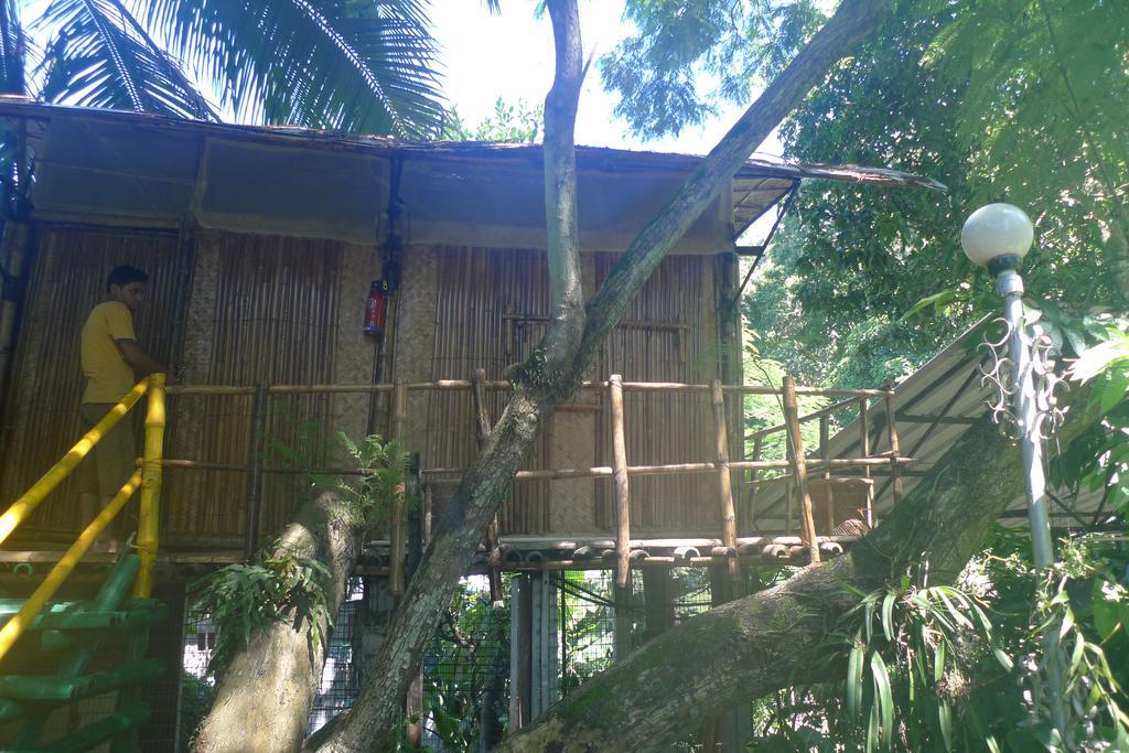 Hilltop Lodge Guwahati Ngoại thất bức ảnh